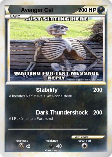 Pokemon Avenger Cat