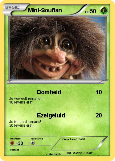 Pokemon Mini-Soufian