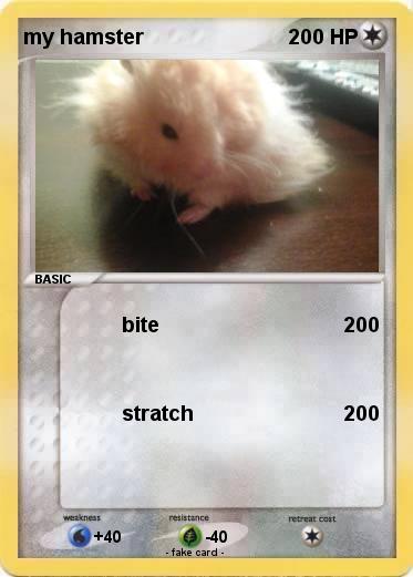 Pokemon my hamster