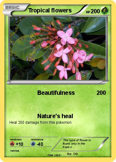 Pokemon Tropical flowers