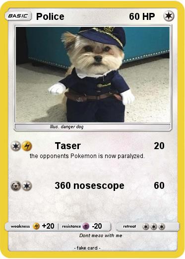 Pokemon Police