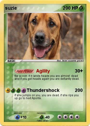 Pokemon suzie