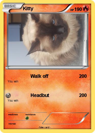 Pokemon Kitty