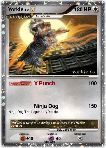 Pokemon Yorkie