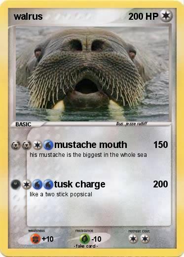 Pokemon walrus
