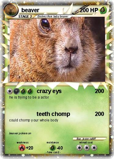 Pokemon beaver