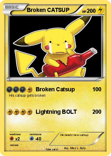 Pokemon Broken CATSUP