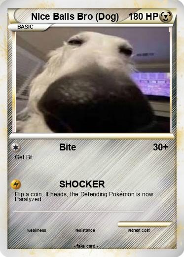 Pokemon Nice Balls Bro (Dog)