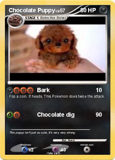 Pokemon Chocolate Puppy