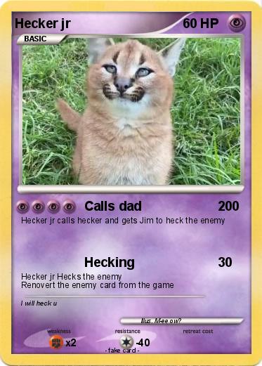 Pokemon Hecker jr