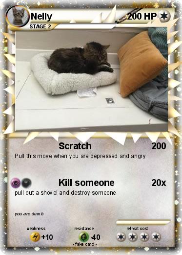 Pokemon Nelly