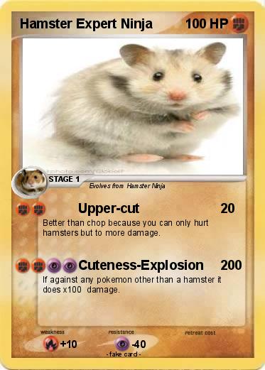 Pokemon Hamster Expert Ninja