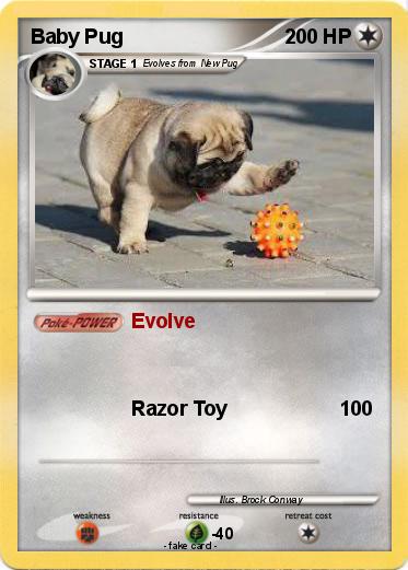 Pokemon Baby Pug