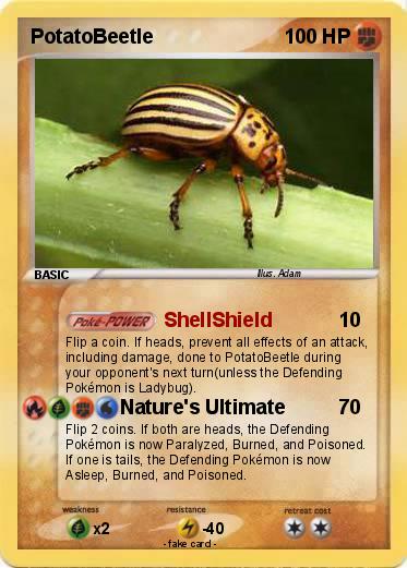Pokemon PotatoBeetle