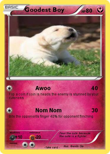 Pokemon Goodest Boy
