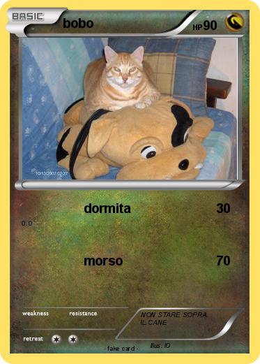 Pokemon bobo