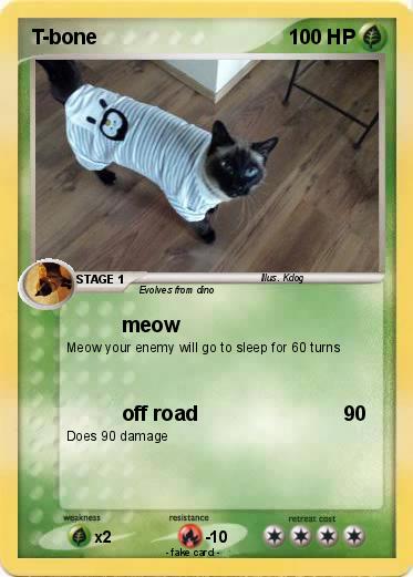 Pokemon T-bone