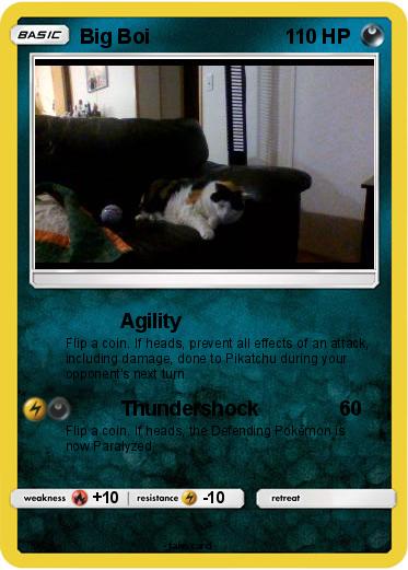 Pokemon Big Boi