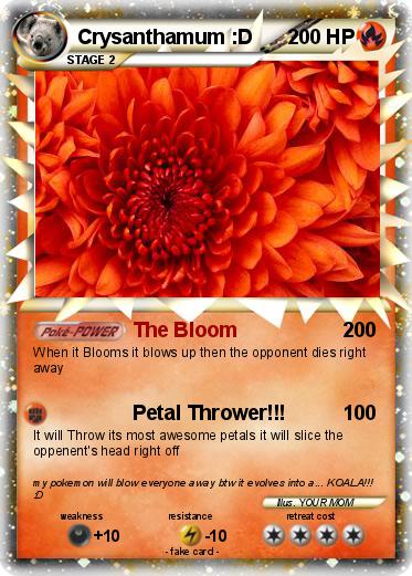 Pokemon Crysanthamum :D