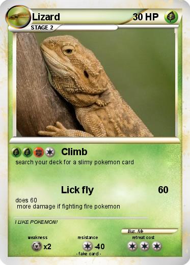 Pokemon Lizard