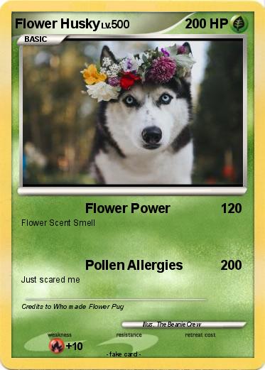 Pokemon Flower Husky