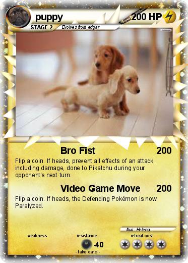 Pokemon puppy