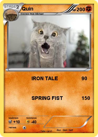 Pokemon Quin