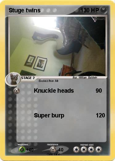 Pokemon Stuge twins