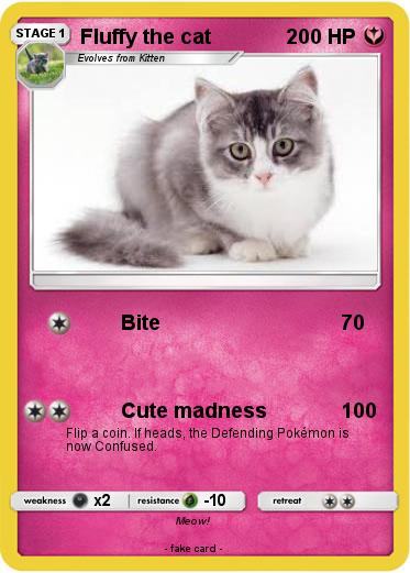 Pokemon Fluffy the cat