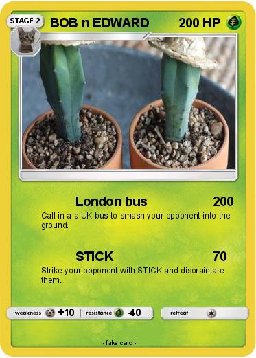 Pokemon BOB n EDWARD