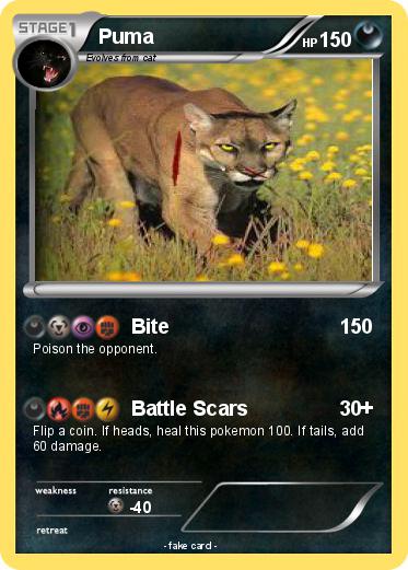 Pokemon Puma