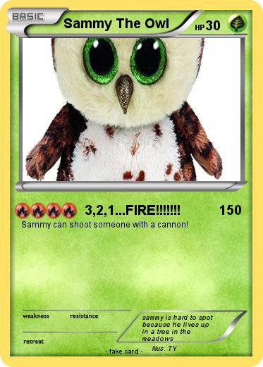 Pokemon Sammy The Owl