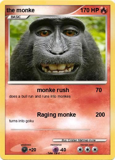 Pokemon the monke