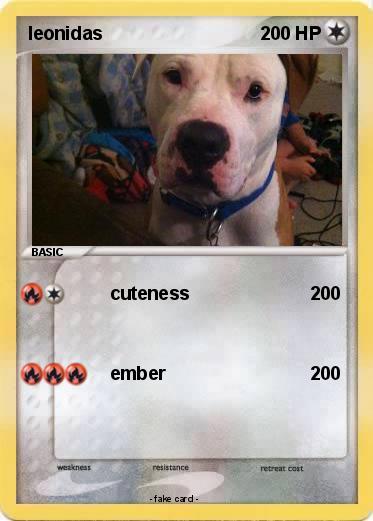 Pokemon leonidas