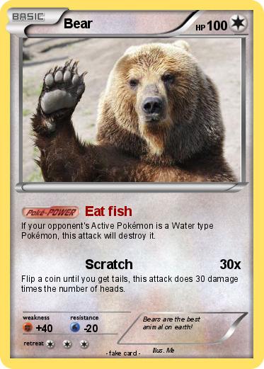Pokemon Bear
