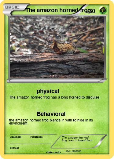 Pokemon The amazon horned frog