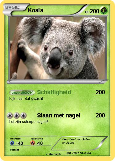 Pokemon Koala