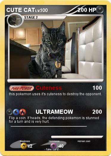 Pokemon CUTE CAT