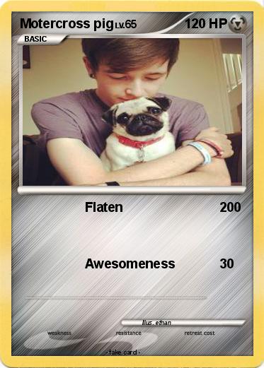 Pokemon Motercross pig