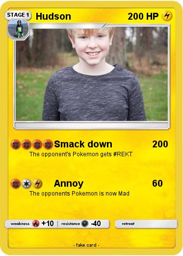 Pokemon Hudson