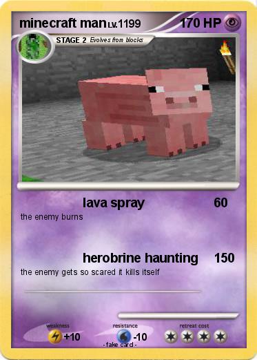 Pokemon minecraft man