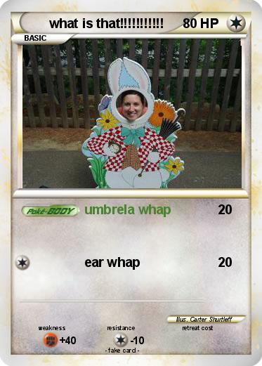 Pokemon what is that!!!!!!!!!!!