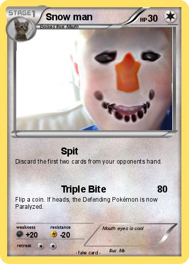 Pokemon Snow man