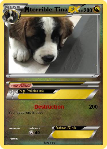 Pokemon terrible Tina