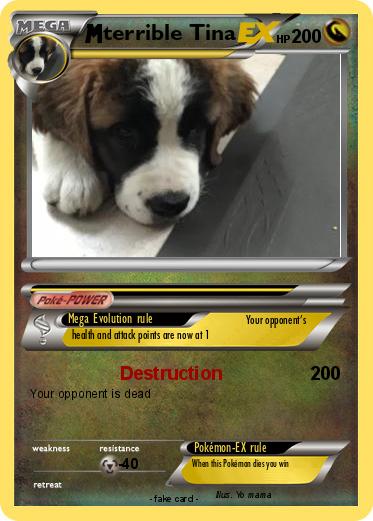 Pokemon terrible Tina
