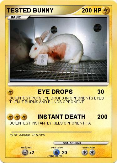 Pokemon TESTED BUNNY