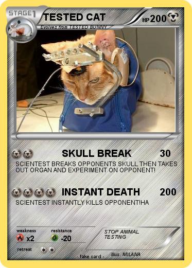 Pokemon TESTED CAT