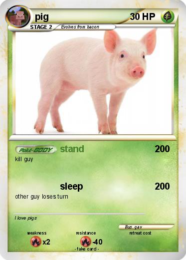 Pokemon pig
