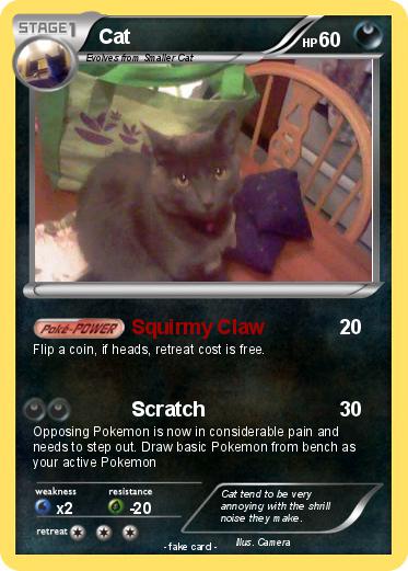 Pokemon Cat