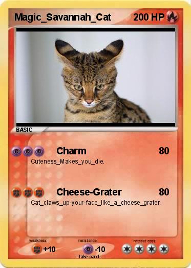 Pokemon Magic_Savannah_Cat